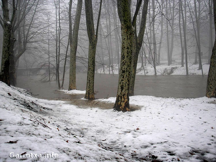 021 Pont de les mores i prats de la mandra